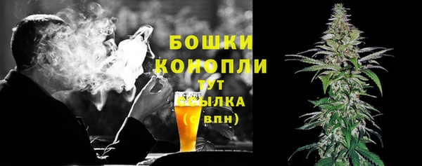 Альфа ПВП Ельня