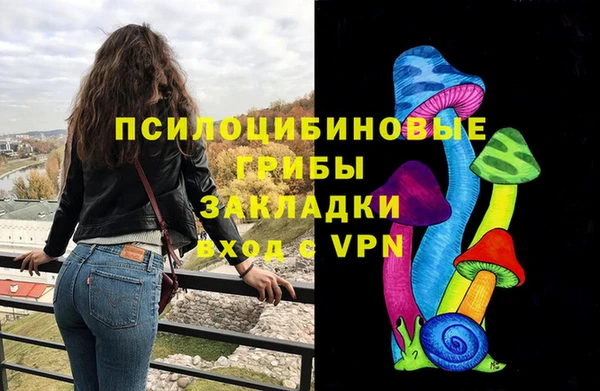 Альфа ПВП Ельня