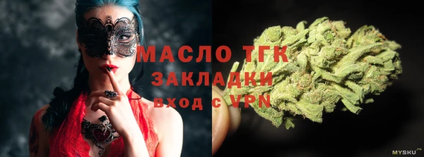 молекула духа Елизово