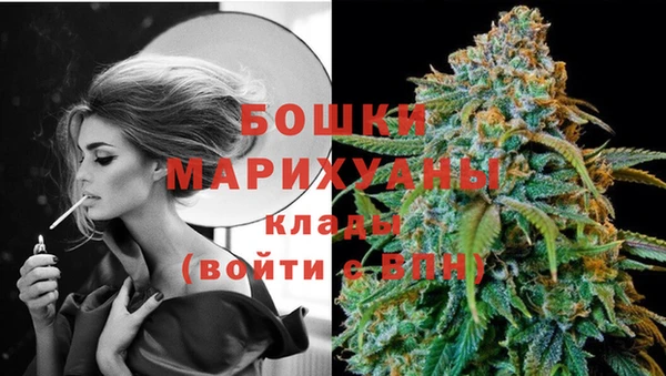 молекула духа Елизово