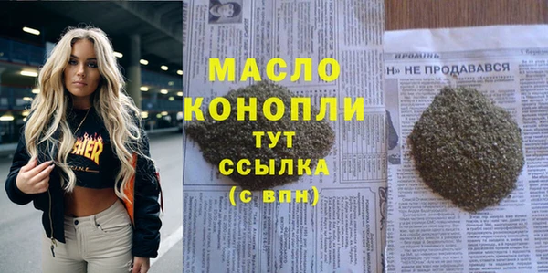 молекула духа Елизово