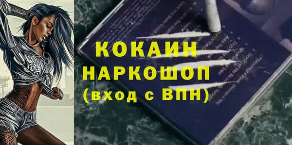 Альфа ПВП Ельня