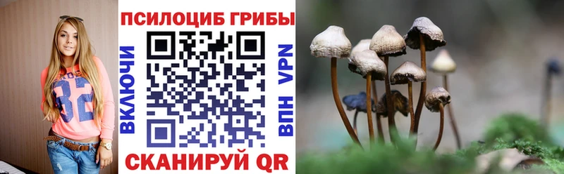 Купить  Злынка  Галлюциногенные грибы ЛСД 